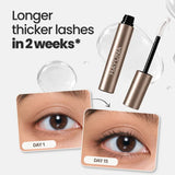 Eyelash Growth Serum